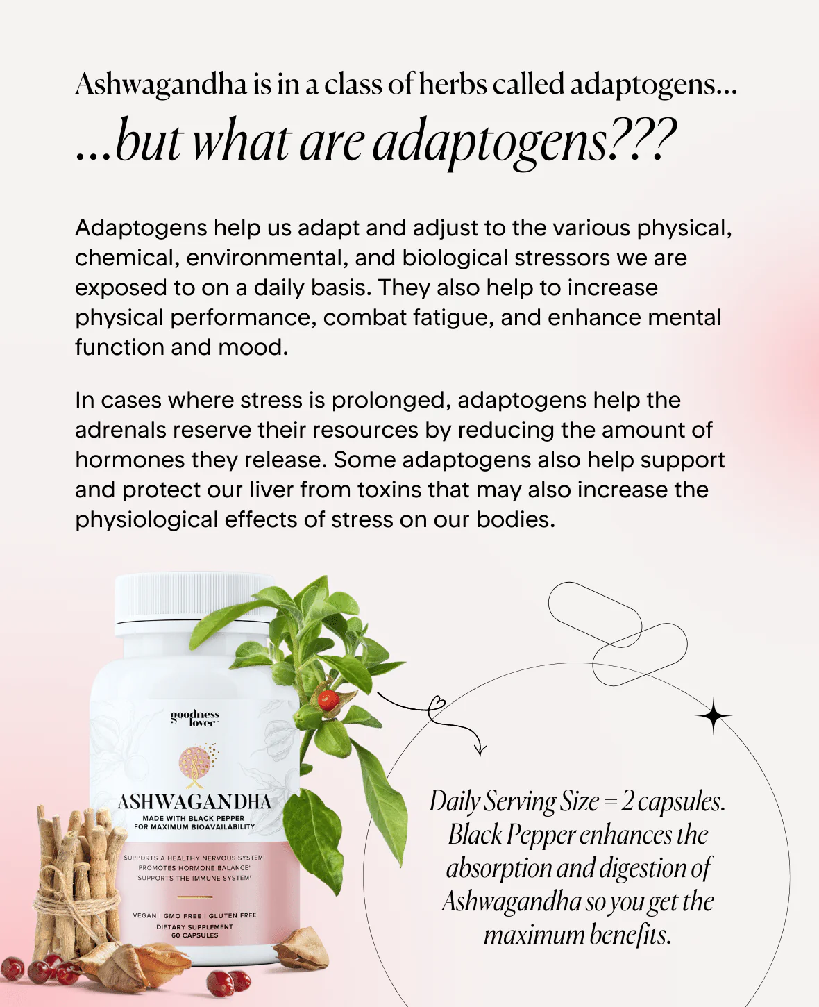 Ashwagandha - Image 3
