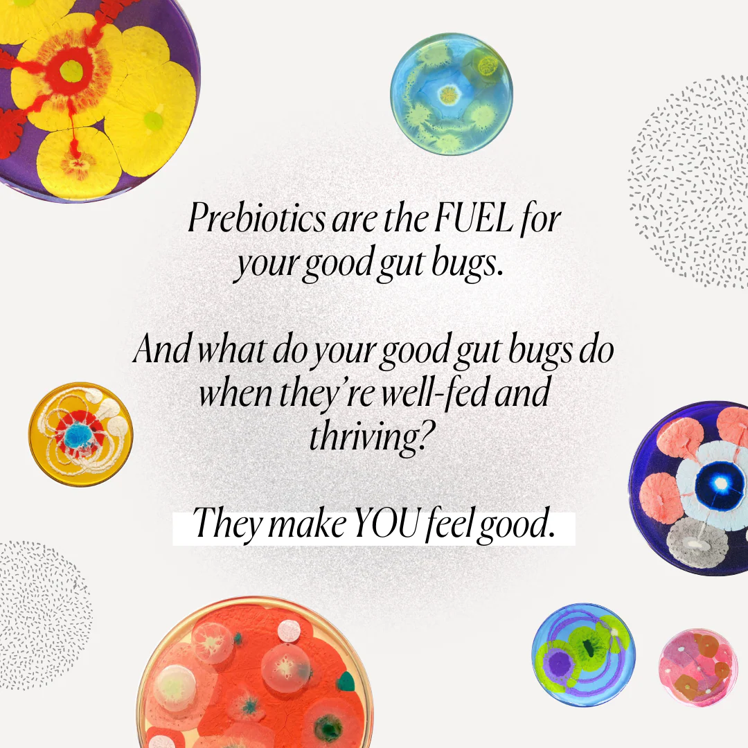 Better Gut Prebiotic Fiber Plus - Image 4