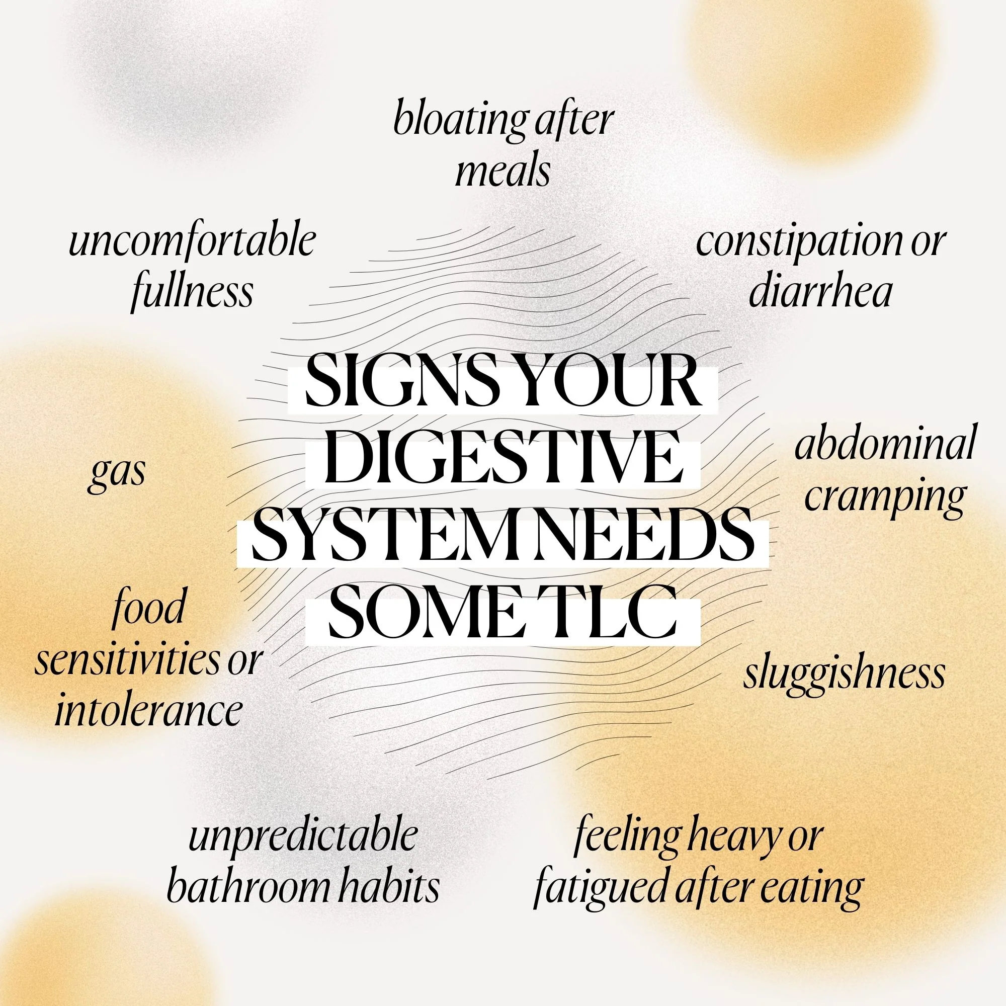 Digest & Debloat Pro - Image 4