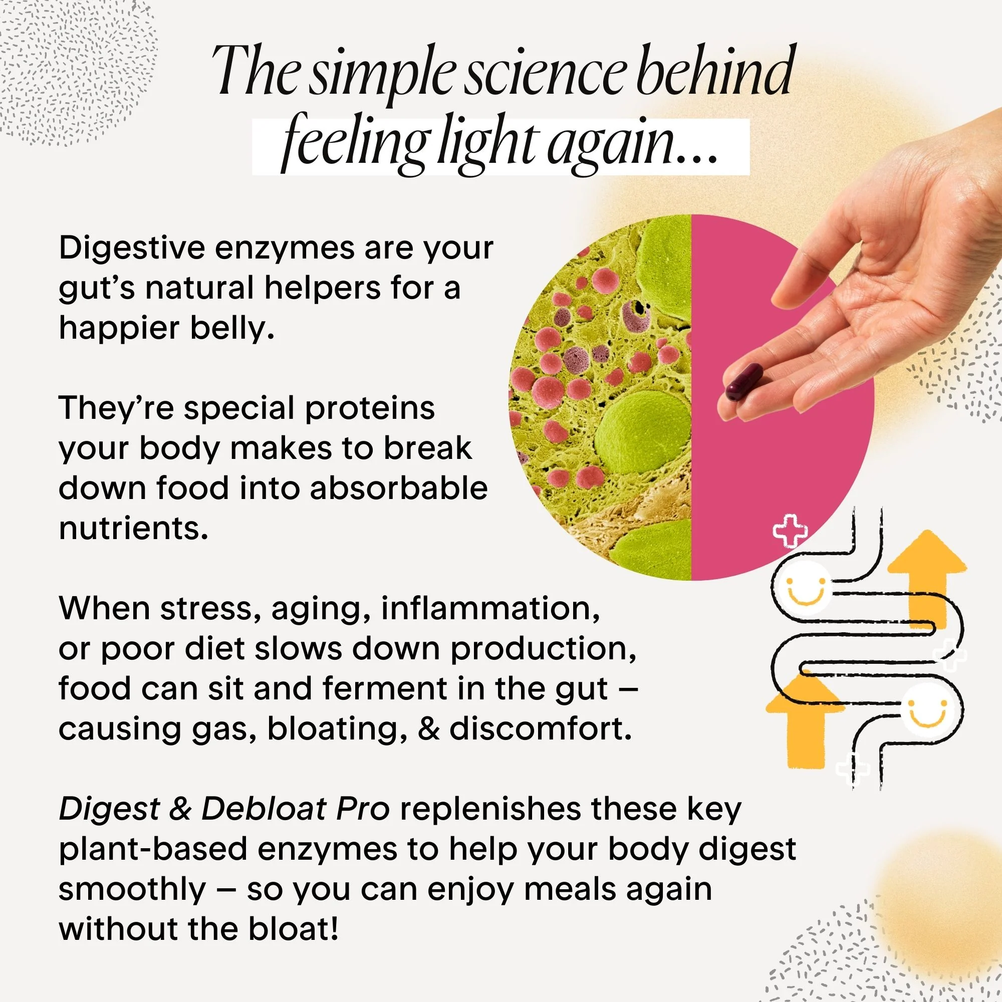 Digest & Debloat Pro - Image 5