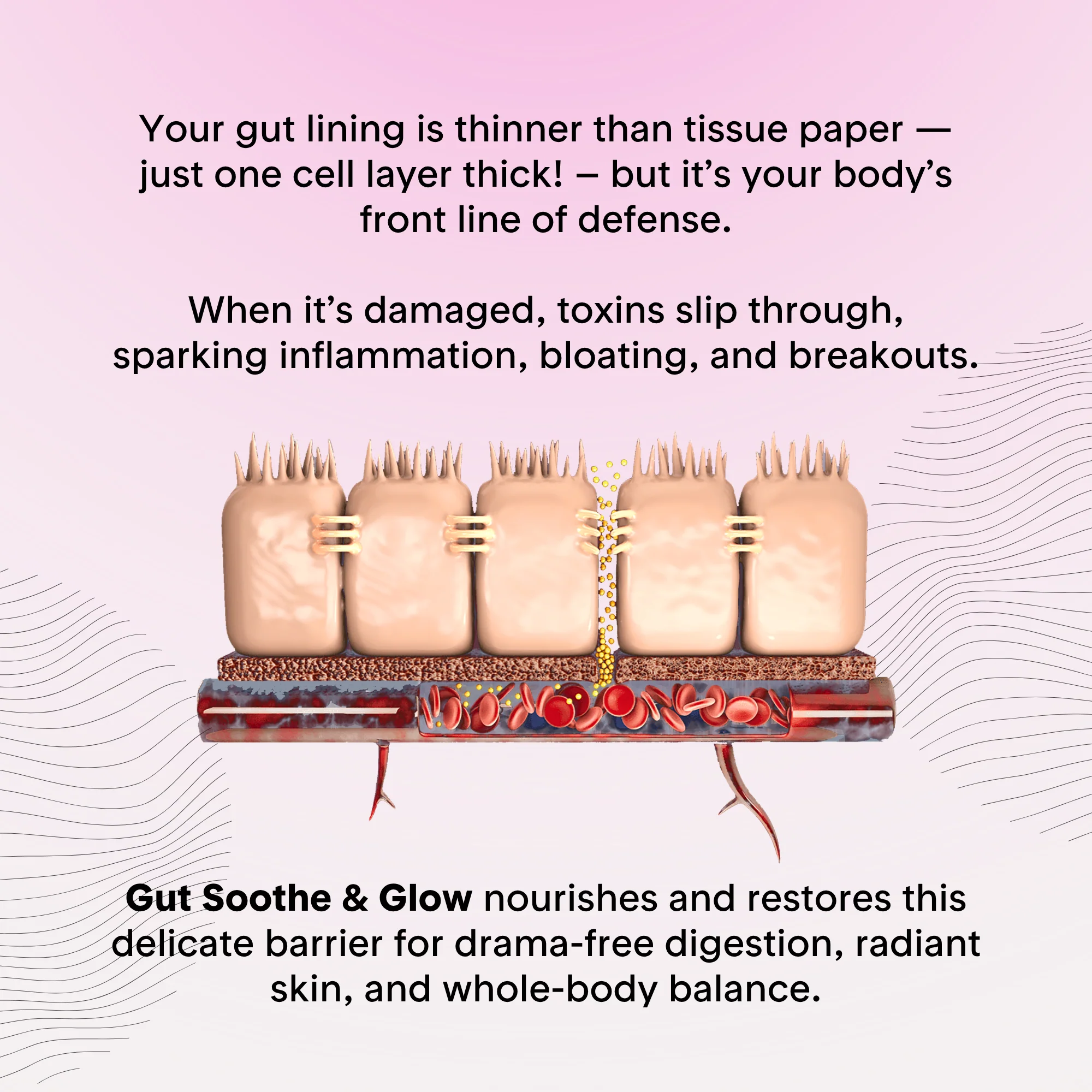 Gut Soothe & Glow (New & Improved Formula) - Image 5