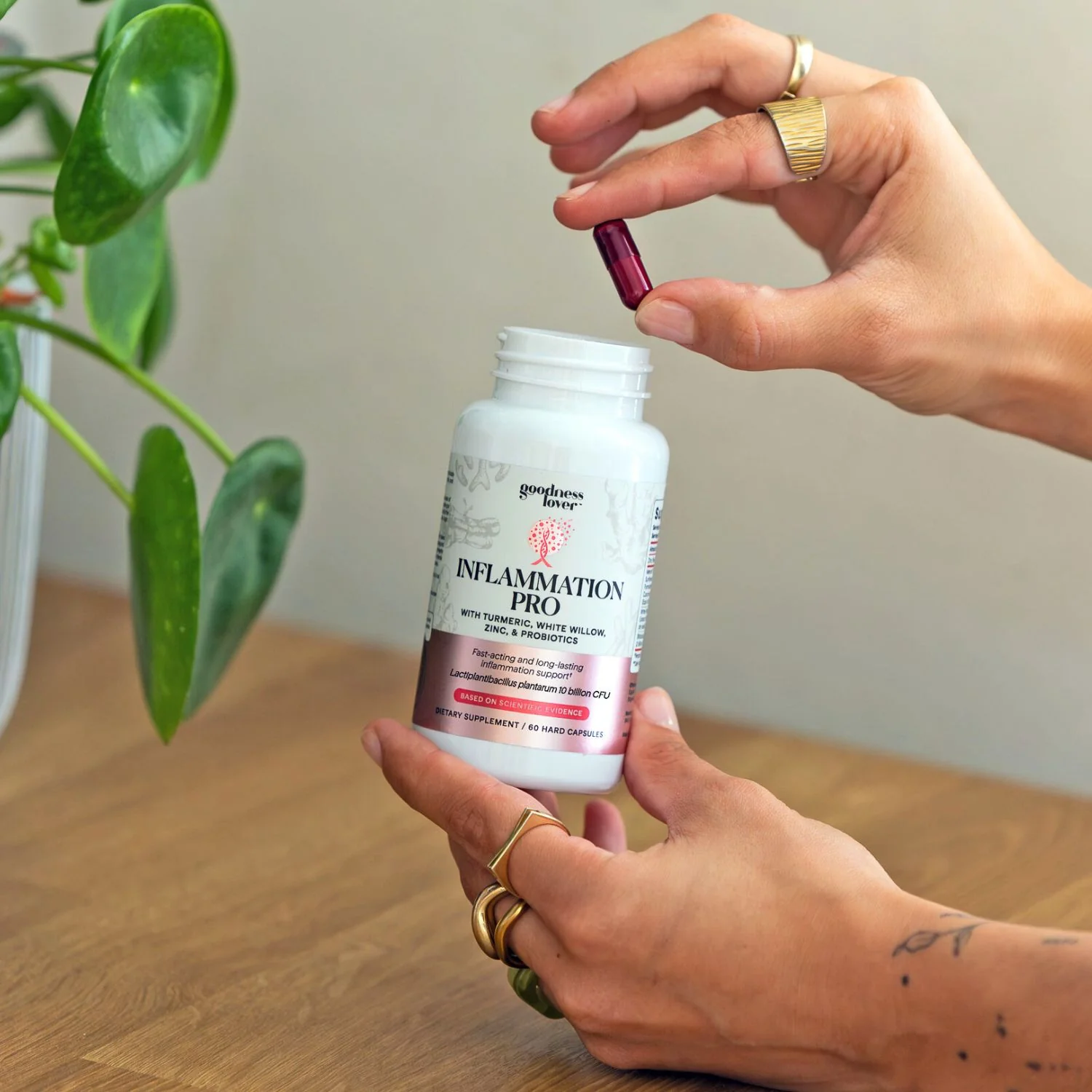 Inflammation Pro - Image 14