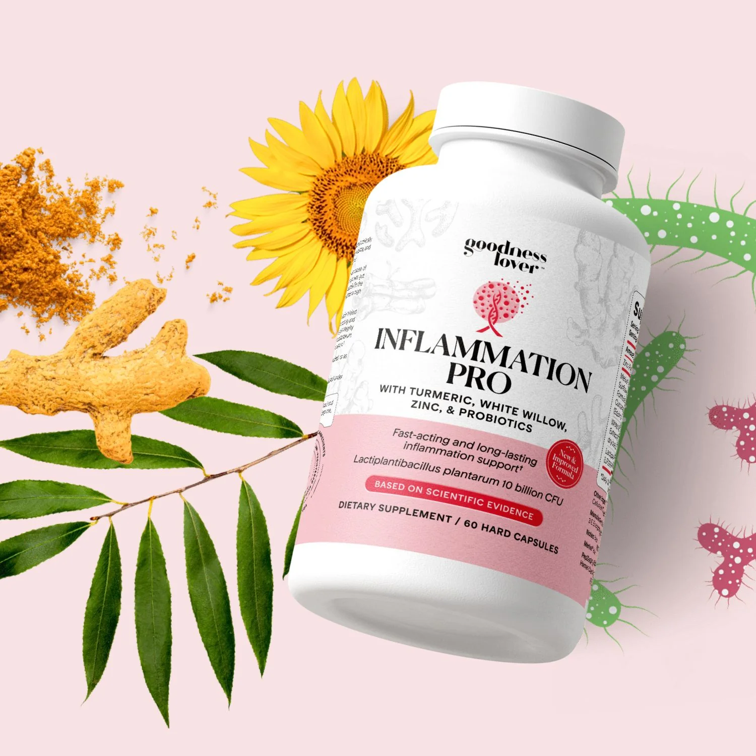 Inflammation Pro - Image 20