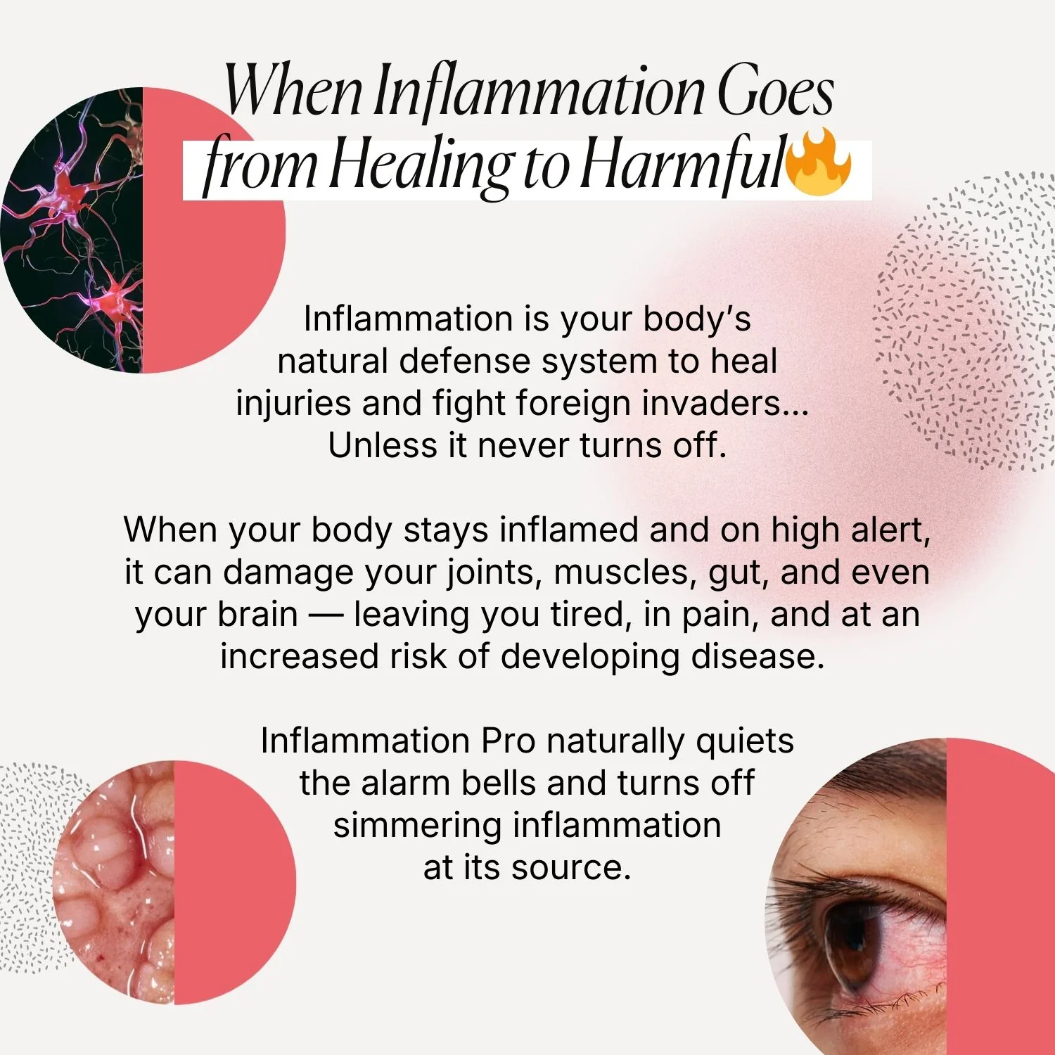Inflammation Pro - Image 5