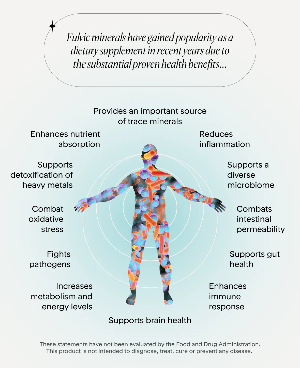 Premium Fulvic Minerals - Image 4