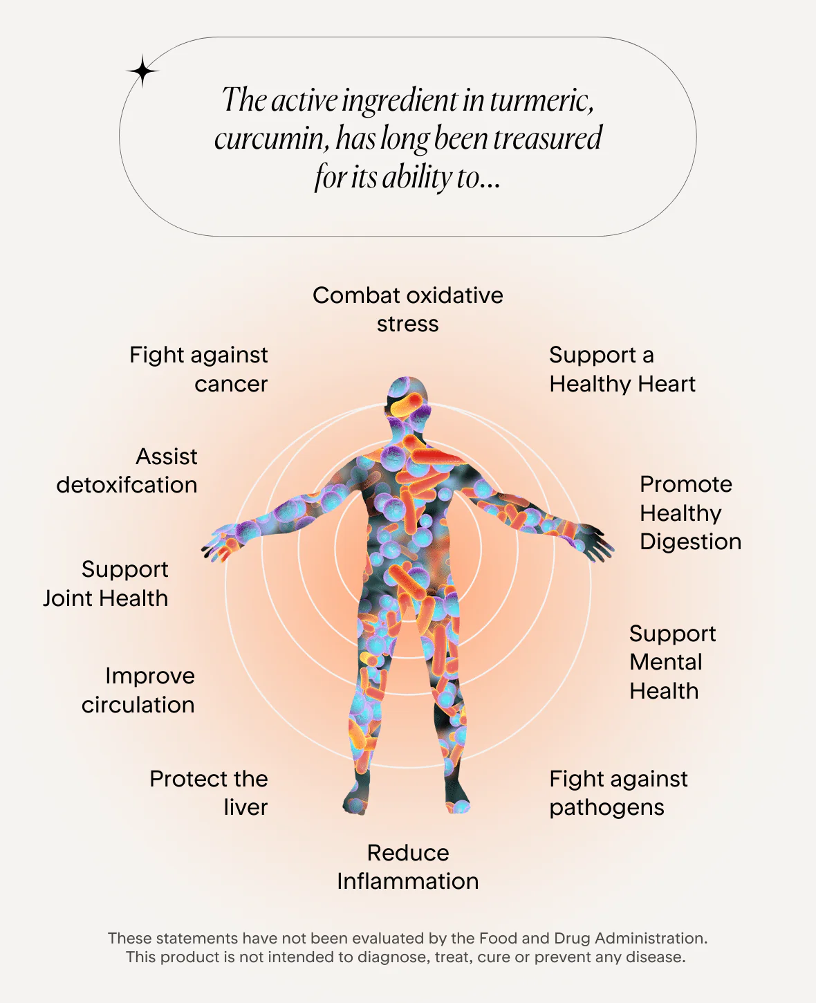Supercharged Turmeric - Image 4