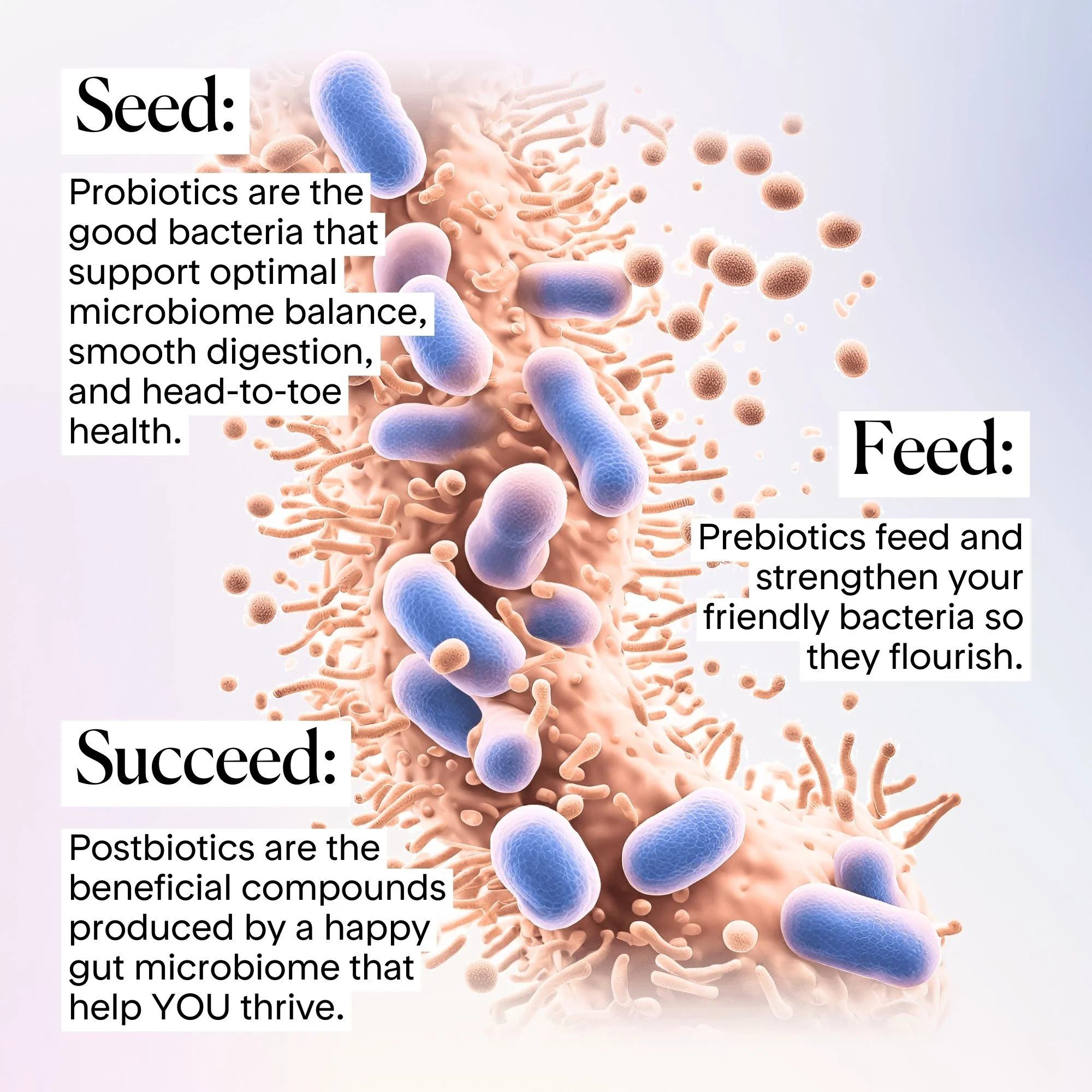 Synbiotic Complete - Image 5