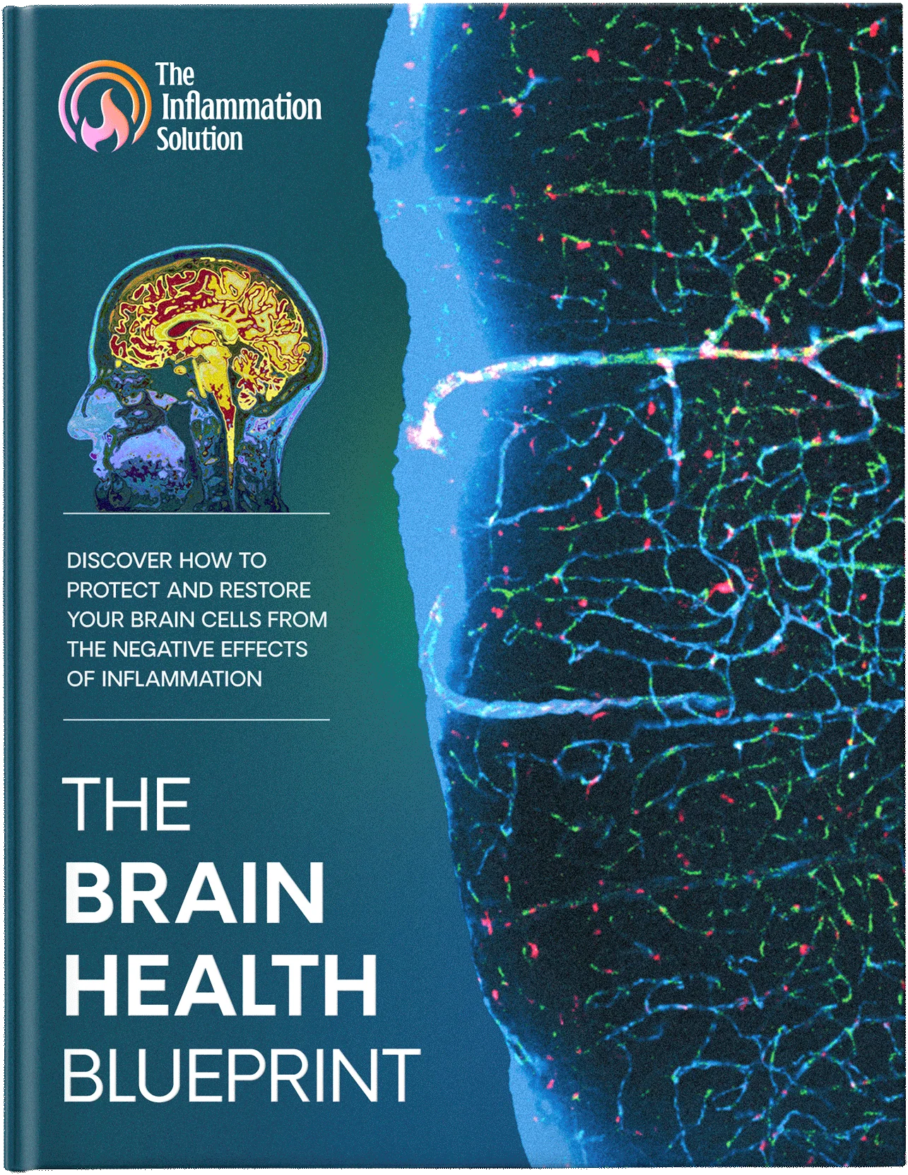 The Neuro Collection - Image 3